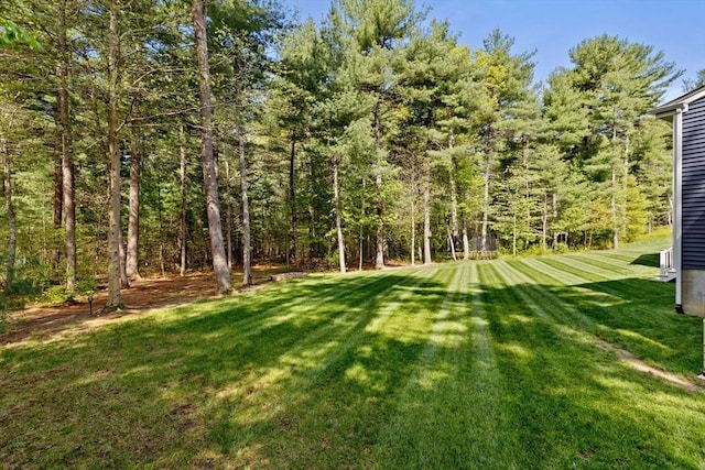 view of grassy yard