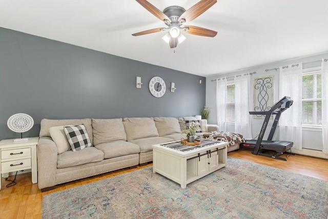 224 Church, Pembroke, NH 03275 - living room featuring plenty of natural light, a ceiling fan, and light wood-type flooring