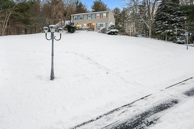 view of yard layered in snow