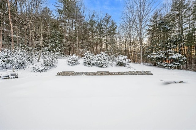 view of yard layered in snow