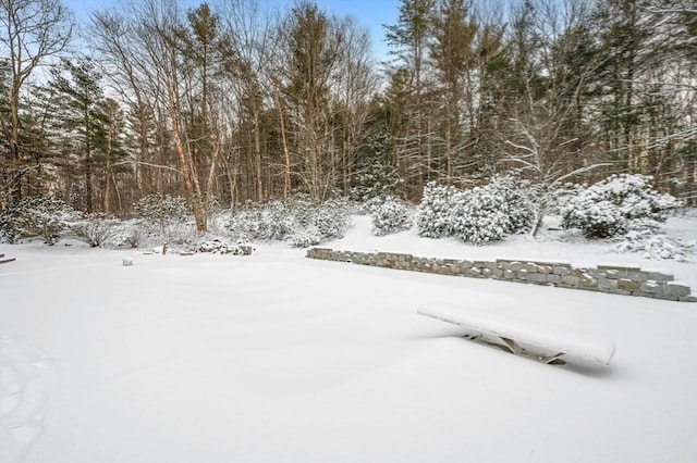 view of yard covered in snow