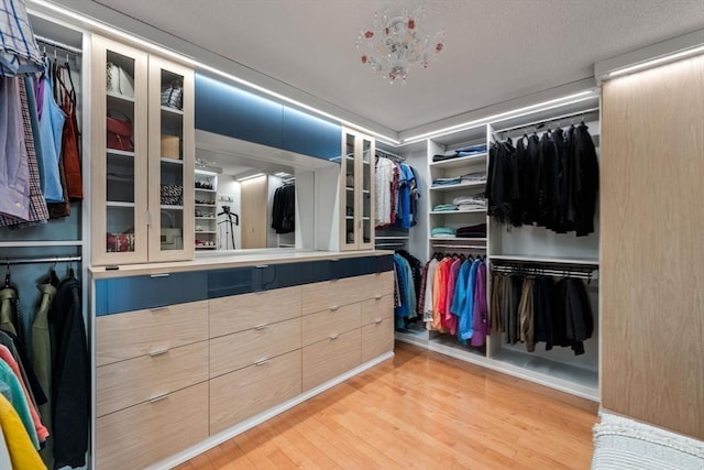 150 Lynnway Unit 406, Lynn, MA 01902 - spacious closet featuring light wood-style floors