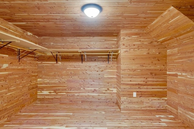 17 Indian Dawn Unit 17, Wayland, MA 01778 - walk in closet with hardwood / wood-style floors