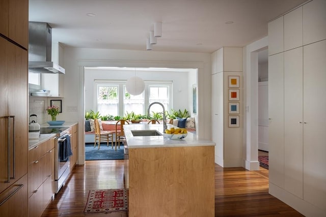 141 Fayerweather St, Cambridge, MA 02138 - kitchen featuring a sink, wall chimney range hood, electric stove, and modern cabinets