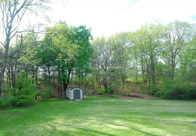 95 Bayberry Rd, Concord, MA 01742 - view of grassy yard featuring a storage unit and an outbuilding