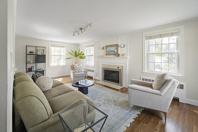 living room with dark wood-type flooring, a fireplace with flush hearth, and radiator heating unit