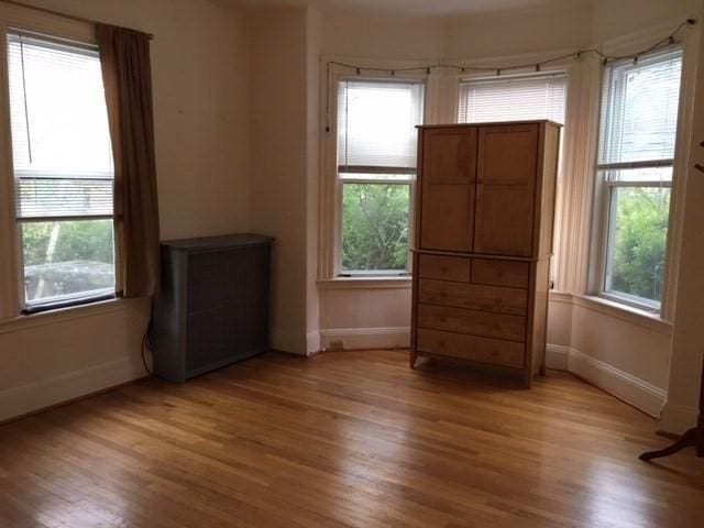 29 Conway St, Boston, MA 02131 - spare room with baseboards and light wood finished floors