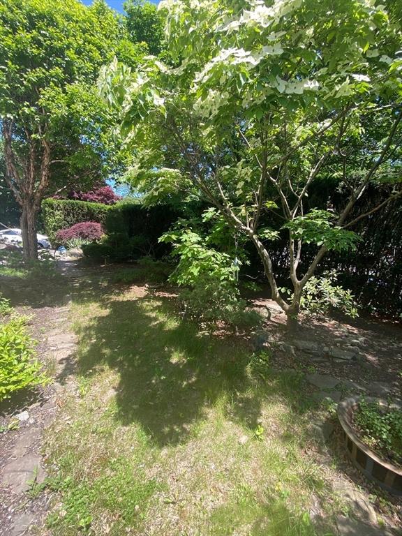 29 Conway St, Boston, MA 02131 - view of yard