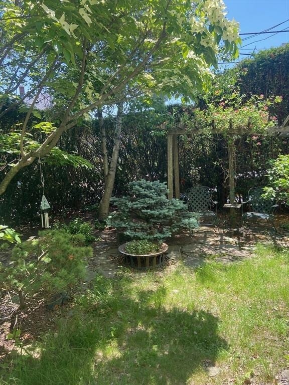 29 Conway St, Boston, MA 02131 - view of yard