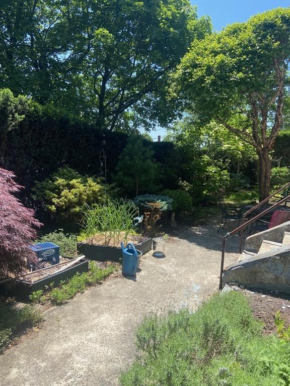 29 Conway St, Boston, MA 02131 - view of yard