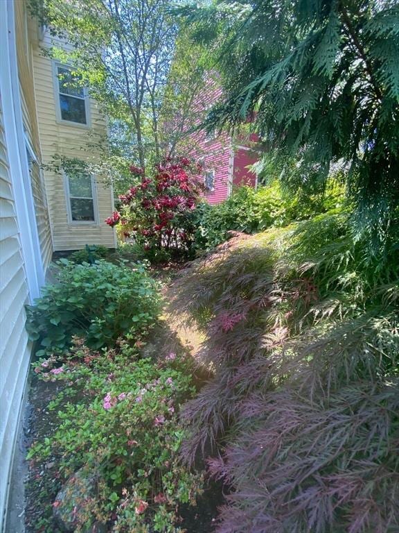29 Conway St, Boston, MA 02131 - view of yard