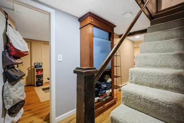 staircase featuring wood-type flooring