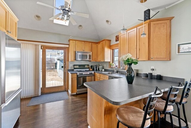 165 Harriet Ave, Quincy, MA 02171 - kitchen featuring stainless steel appliances, healthy amount of natural light, vaulted ceiling, a peninsula, and dark wood-type flooring