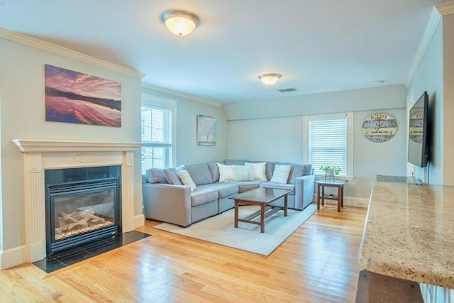 29 Carlton St Unit 2, Salem, MA 01970 - living room with ornamental molding, wood finished floors, and a fireplace with flush hearth