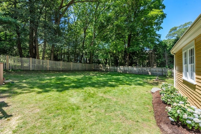 21 Studio Rd, Newton, MA 02466 - view of yard