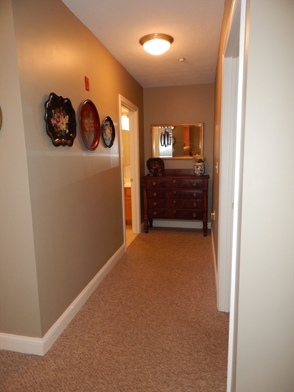 corridor featuring carpet flooring