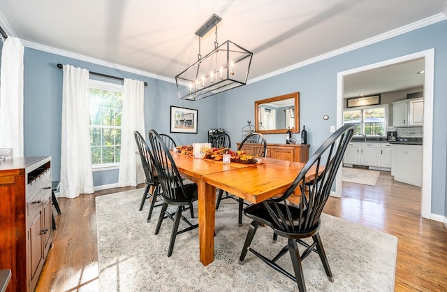 dining space featuring light hardwood / wood-style floors, an inviting chandelier, ornamental molding, and a healthy amount of sunlight