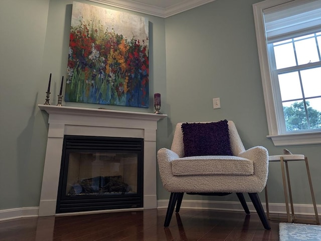 190 Chickering Rd Unit 313D, North Andover, MA 01845 - sitting room featuring baseboards, ornamental molding, wood finished floors, and a glass covered fireplace