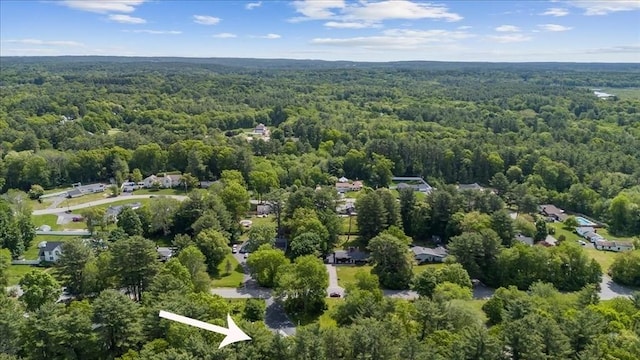 49 Karen Rd, Hanover, MA 02339 - drone / aerial view of a forest