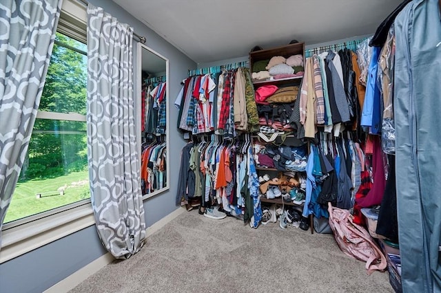 110 Middlefield Rd, Chester, MA 01011 - walk in closet with carpet floors