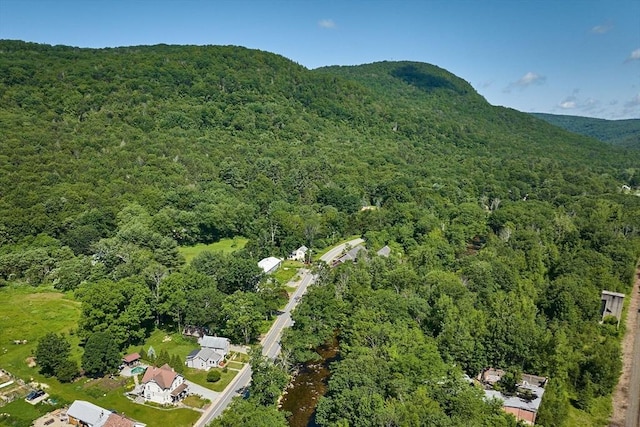 110 Middlefield Rd, Chester, MA 01011 - aerial view of property and surrounding area featuring a heavily wooded area