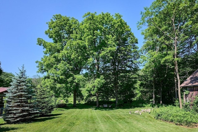 110 Middlefield Rd, Chester, MA 01011 - view of grassy yard