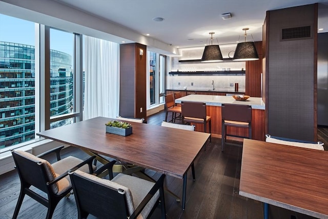 dining area with sink and dark wood-type flooring