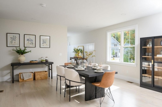 20 Howland Trl Unit 10, Hanson, MA 02341 - dining room with light wood-style floors