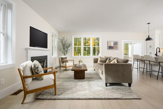 20 Howland Trl Unit 10, Hanson, MA 02341 - living room featuring plenty of natural light, a glass covered fireplace, and light wood-type flooring