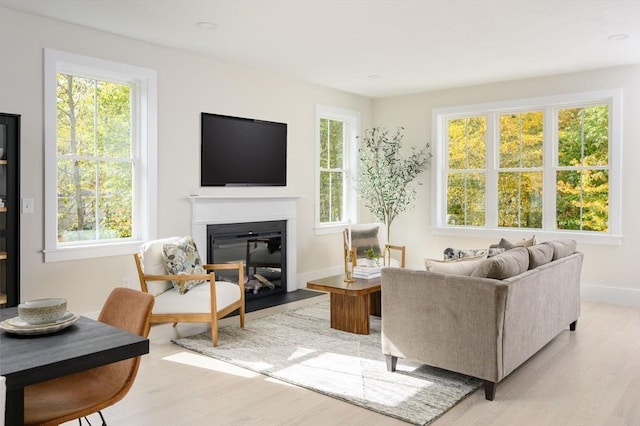 20 Howland Trl Unit 10, Hanson, MA 02341 - living room featuring light wood-style flooring and a fireplace with flush hearth