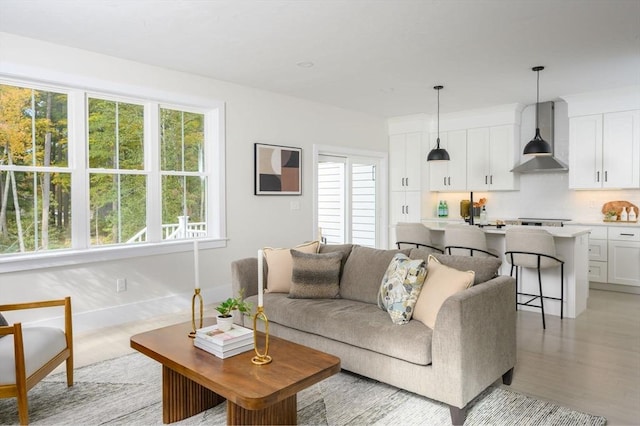 20 Howland Trl Unit 10, Hanson, MA 02341 - living room with baseboards