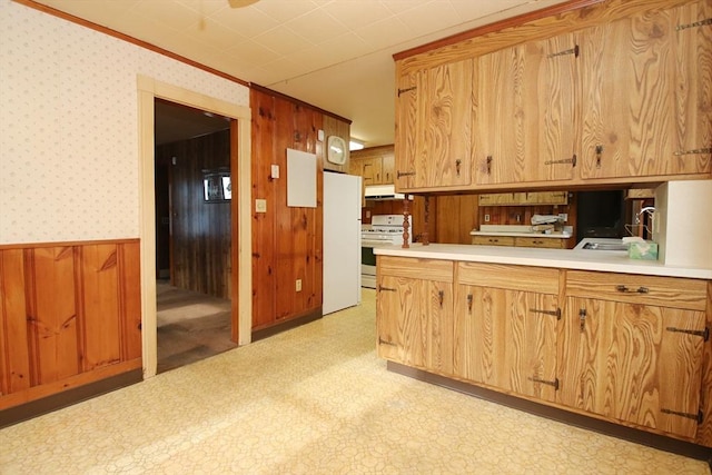 kitchen featuring gas range, a sink, a wainscoted wall, light countertops, and under cabinet range hood