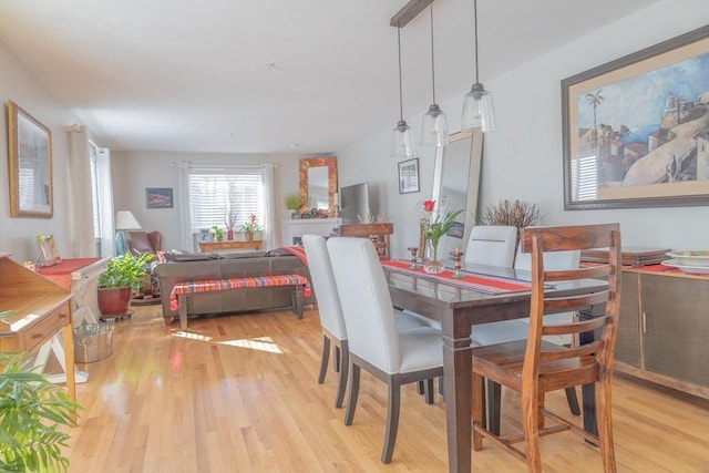 dining room featuring light wood finished floors