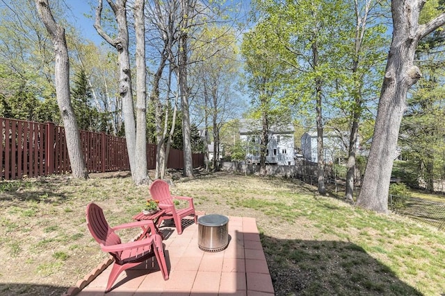 view of yard featuring a fenced backyard and a patio area