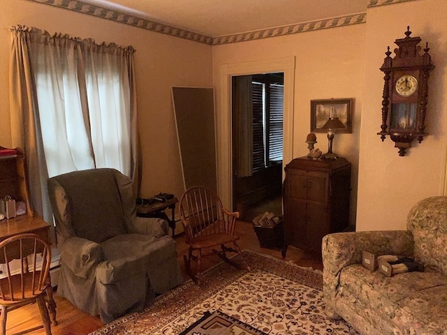 living area featuring hardwood / wood-style floors