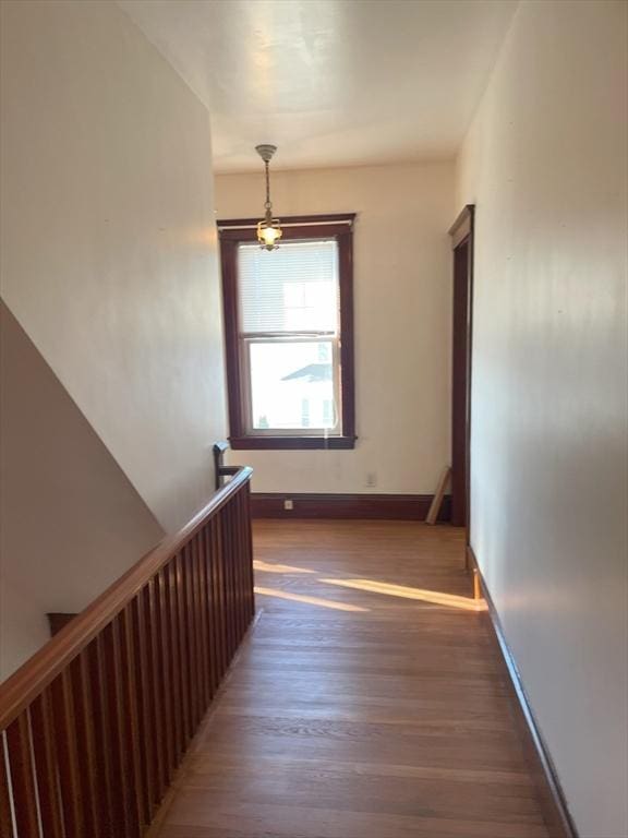 corridor featuring dark hardwood / wood-style flooring