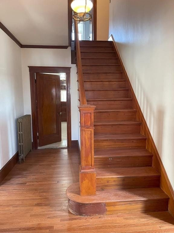 stairway with hardwood / wood-style flooring, radiator, and crown molding