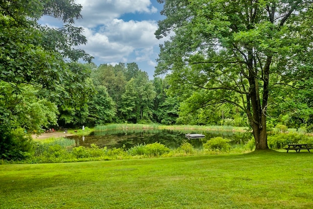 view of home's community with a yard and a water view