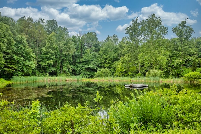 view of local wilderness