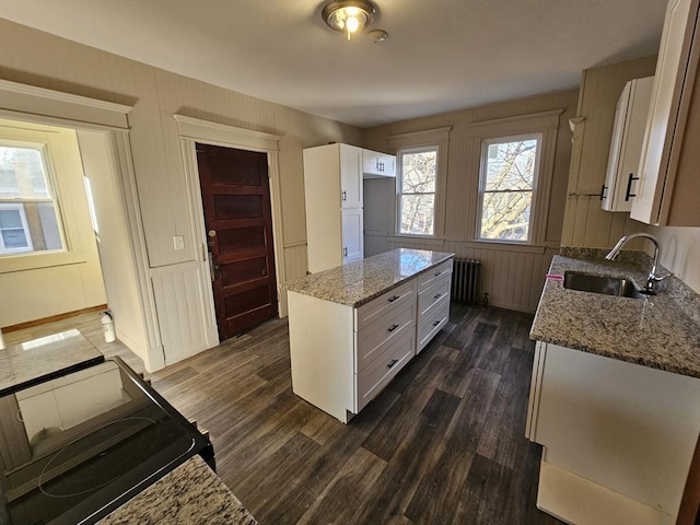 kitchen featuring radiator, sink, light stone counters, dark hardwood / wood-style flooring, and white cabinetry