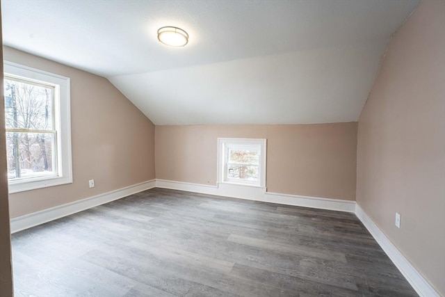 additional living space featuring wood finished floors, baseboards, and lofted ceiling