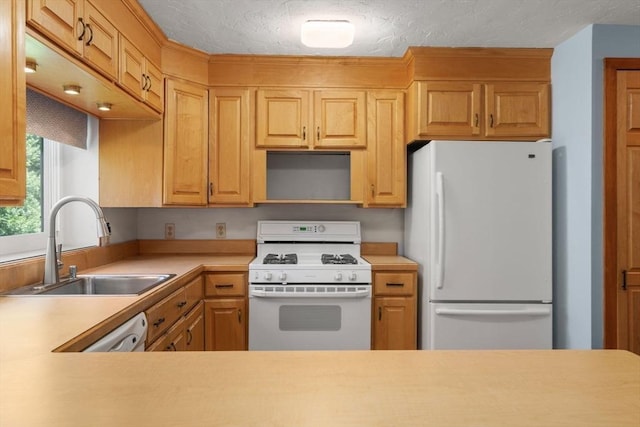 399 Pond St Unit G6, Braintree, MA 02184 - kitchen featuring white appliances, light countertops, a textured ceiling, and open shelves