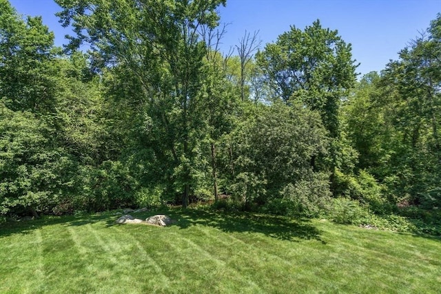 399 Pond St Unit G6, Braintree, MA 02184 - view of green lawn with a wooded view
