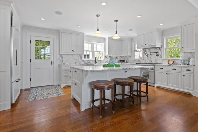 kitchen featuring dark hardwood / wood-style flooring, stainless steel stove, and plenty of natural light