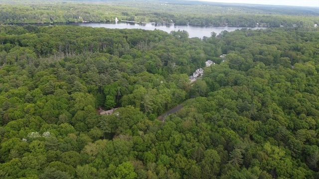 14 Daniels Rd, Charlton, MA 01507 - view of property location with a forest and a nearby body of water