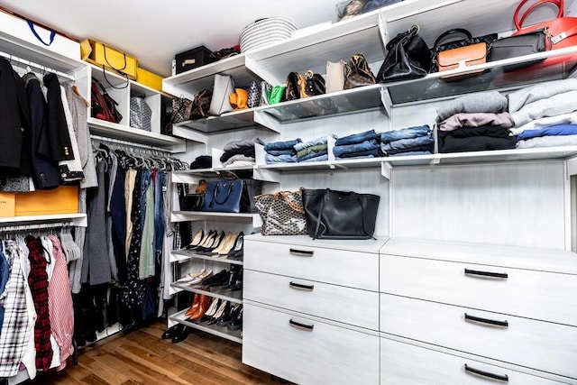 spacious closet with wood finished floors