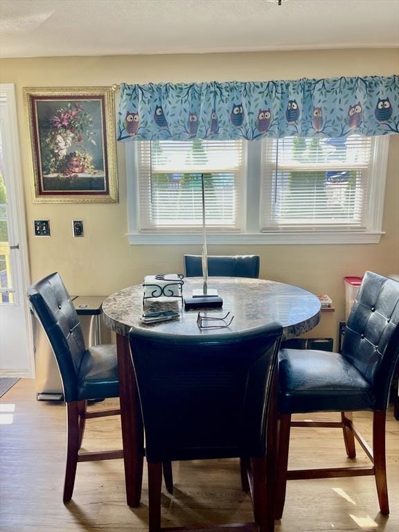 67 Oakcrest Rd, Boston, MA 02136 - dining room with light wood-type flooring and plenty of natural light