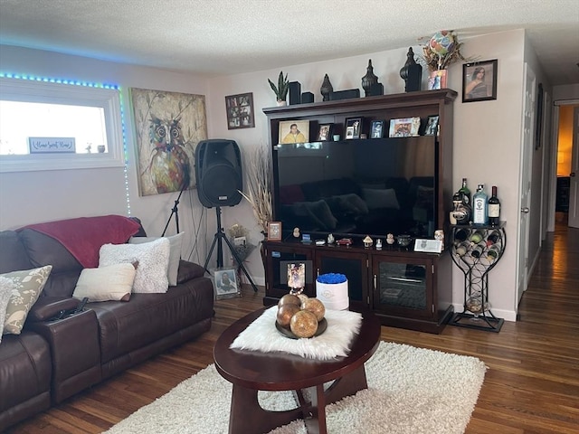 67 Oakcrest Rd, Boston, MA 02136 - living room featuring wood finished floors and a textured ceiling