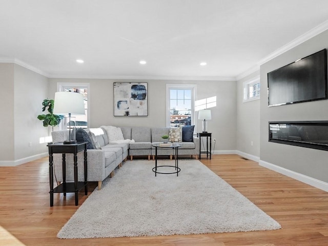 living room featuring ornamental molding and light hardwood / wood-style flooring