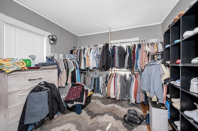 spacious closet featuring carpet floors